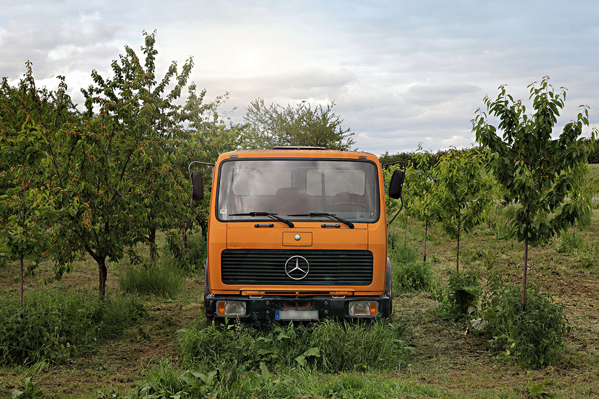 LKW, Obstwiese