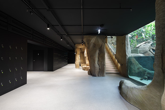 Untergeschoss mit Schliessfach