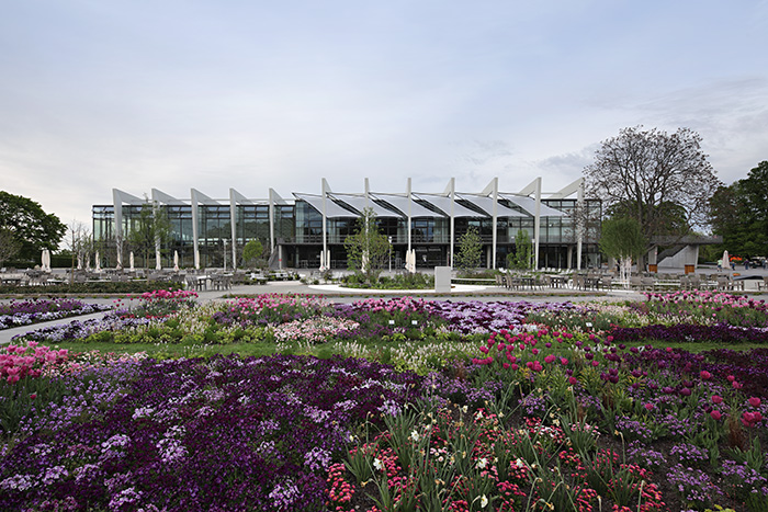 danakil aussenaufnahme mit Blumen im Vordergrund