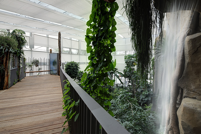 Tropenhaus mit Wasserfall interior