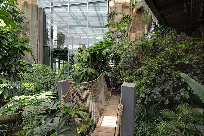 Tropenhaus mit Brücke foto