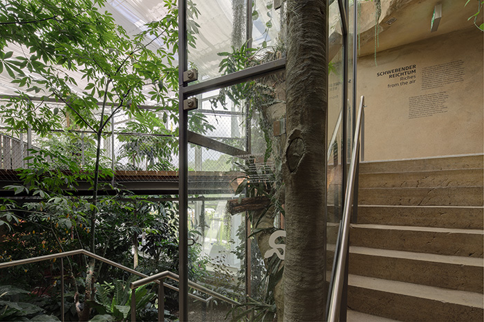 Treppe mit Terrarium