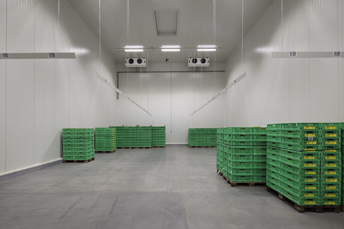 Industrie Fotografie, Lager Kühlraum, Obstkisten