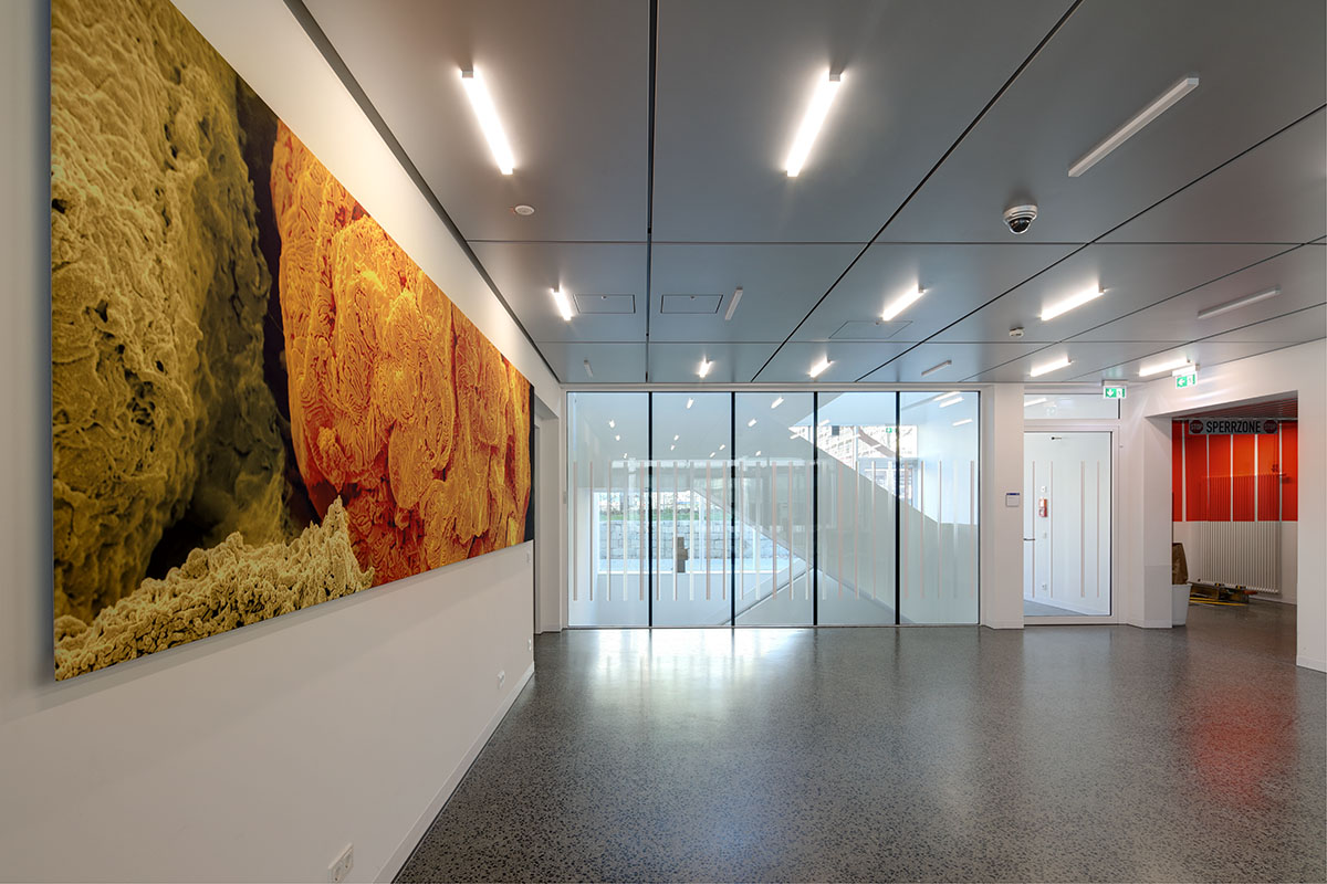 foto imitate centre freiburg