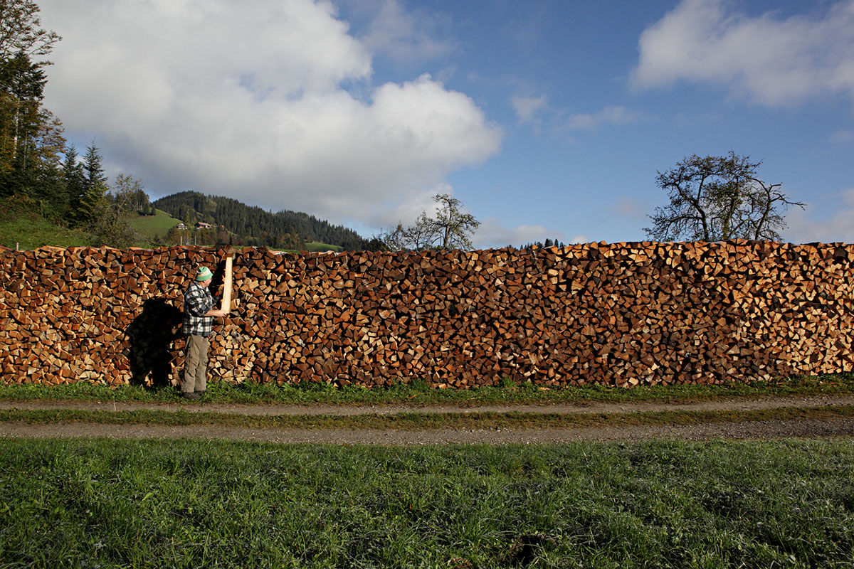 reportage Köhler von Romoos mit Holz